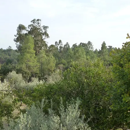 Manara Constancia